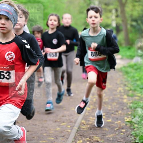 19.04.2026 - Hammer Lauf Dr. Thomas Lammeyer http://msf.ph/oto/9527648 19.04.2026 09:26:14 Laufen 1463, 1658, 886 meine-sportfotos.de