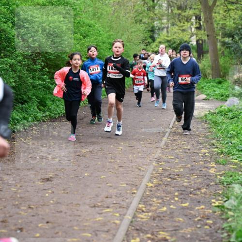 19.04.2026 - Hammer Lauf Dr. Thomas Lammeyer http://msf.ph/oto/9527676 19.04.2026 09:26:17 Laufen 354, 1411, 184, 1245, 188 meine-sportfotos.de