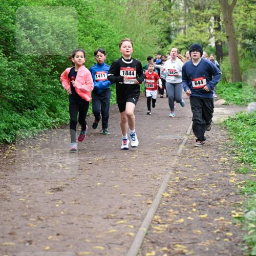 19.04.2026 - Hammer Lauf Dr. Thomas Lammeyer http://msf.ph/oto/9527678 19.04.2026 09:26:17 Laufen 1411, 1844, 1245, 188, 644 meine-sportfotos.de
