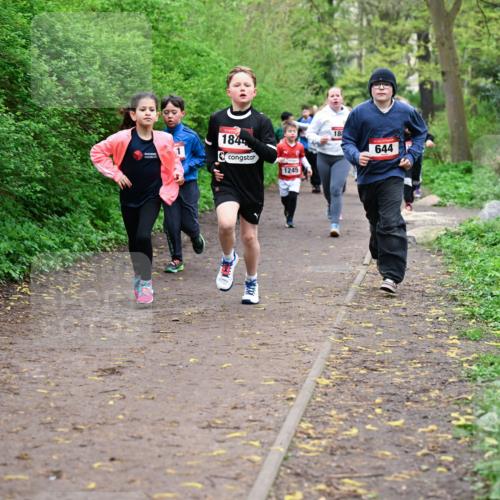 19.04.2026 - Hammer Lauf Dr. Thomas Lammeyer http://msf.ph/oto/9527679 19.04.2026 09:26:17 Laufen 184, 1245, 644 meine-sportfotos.de