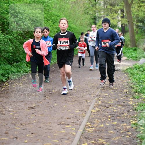 19.04.2026 - Hammer Lauf Dr. Thomas Lammeyer http://msf.ph/oto/9527684 19.04.2026 09:26:18 Laufen 411, 1844, 1245, 644, 139 meine-sportfotos.de