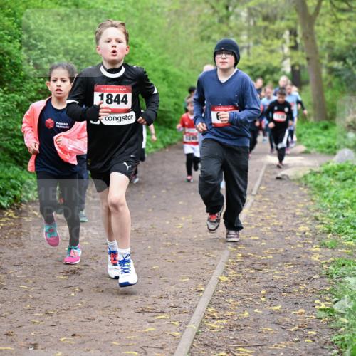 19.04.2026 - Hammer Lauf Dr. Thomas Lammeyer http://msf.ph/oto/9527687 19.04.2026 09:26:18 Laufen 1844, 1245 meine-sportfotos.de