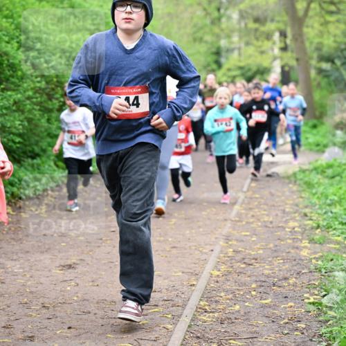 19.04.2026 - Hammer Lauf Dr. Thomas Lammeyer http://msf.ph/oto/9527702 19.04.2026 09:26:20 Laufen  meine-sportfotos.de