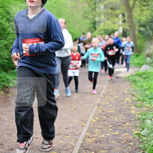 19.04.2026 - Hammer Lauf Dr. Thomas Lammeyer http://msf.ph/oto/9527705 19.04.2026 09:26:20 Laufen 1249 meine-sportfotos.de