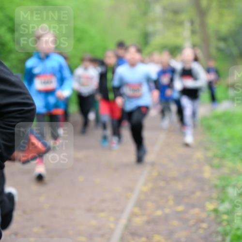 19.04.2026 - Hammer Lauf Dr. Thomas Lammeyer http://msf.ph/oto/9527756 19.04.2026 09:26:25 Laufen  meine-sportfotos.de