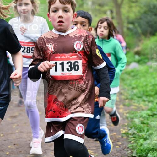 19.04.2026 - Hammer Lauf Dr. Thomas Lammeyer http://msf.ph/oto/9527785 19.04.2026 09:26:30 Laufen 259, 289, 1910, 1136, 7910 meine-sportfotos.de