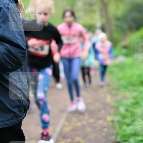 19.04.2026 - Hammer Lauf Dr. Thomas Lammeyer http://msf.ph/oto/9527796 19.04.2026 09:26:33 Laufen  meine-sportfotos.de