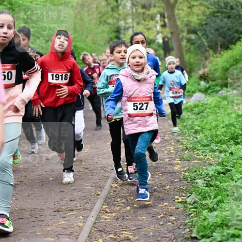 19.04.2026 - Hammer Lauf Dr. Thomas Lammeyer http://msf.ph/oto/9527811 19.04.2026 09:26:35 Laufen 1918, 527, 899 meine-sportfotos.de