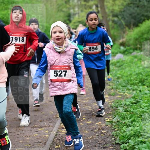 19.04.2026 - Hammer Lauf Dr. Thomas Lammeyer http://msf.ph/oto/9527817 19.04.2026 09:26:35 Laufen 1550, 1918, 527, 894 meine-sportfotos.de
