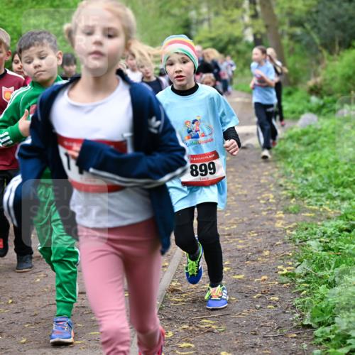 19.04.2026 - Hammer Lauf Dr. Thomas Lammeyer http://msf.ph/oto/9527838 19.04.2026 09:26:37 Laufen 899 meine-sportfotos.de