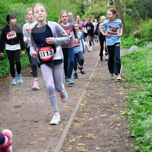 19.04.2026 - Hammer Lauf Dr. Thomas Lammeyer http://msf.ph/oto/9527849 19.04.2026 09:26:39 Laufen 1094, 1113, 1488 meine-sportfotos.de