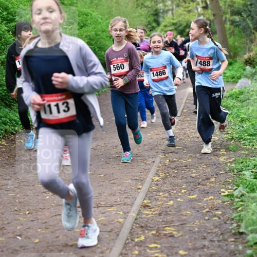 19.04.2026 - Hammer Lauf Dr. Thomas Lammeyer http://msf.ph/oto/9527852 19.04.2026 09:26:39 Laufen 560, 382, 1486, 1488, 1113 meine-sportfotos.de