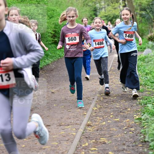 19.04.2026 - Hammer Lauf Dr. Thomas Lammeyer http://msf.ph/oto/9527855 19.04.2026 09:26:40 Laufen 113, 560, 1486, 1488 meine-sportfotos.de