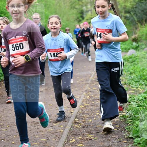 19.04.2026 - Hammer Lauf Dr. Thomas Lammeyer http://msf.ph/oto/9527865 19.04.2026 09:26:41 Laufen 130, 560, 148 meine-sportfotos.de