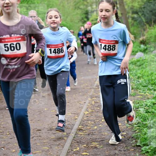 19.04.2026 - Hammer Lauf Dr. Thomas Lammeyer http://msf.ph/oto/9527867 19.04.2026 09:26:41 Laufen 560, 1486, 1488 meine-sportfotos.de