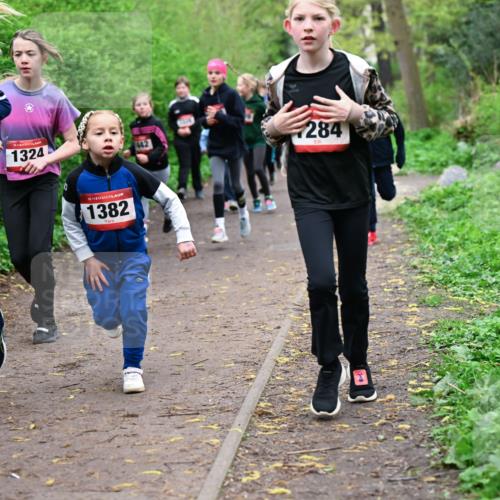 19.04.2026 - Hammer Lauf Dr. Thomas Lammeyer http://msf.ph/oto/9527881 19.04.2026 09:26:42 Laufen 104, 1324, 1382, 442, 284 meine-sportfotos.de