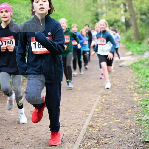 19.04.2026 - Hammer Lauf Dr. Thomas Lammeyer http://msf.ph/oto/9527908 19.04.2026 09:26:45 Laufen 1790 meine-sportfotos.de