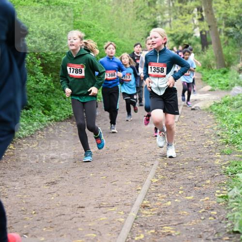 19.04.2026 - Hammer Lauf Dr. Thomas Lammeyer http://msf.ph/oto/9527911 19.04.2026 09:26:45 Laufen 1789, 1388, 413, 1358 meine-sportfotos.de