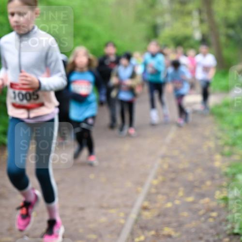 19.04.2026 - Hammer Lauf Dr. Thomas Lammeyer http://msf.ph/oto/9527933 19.04.2026 09:26:48 Laufen 1005 meine-sportfotos.de