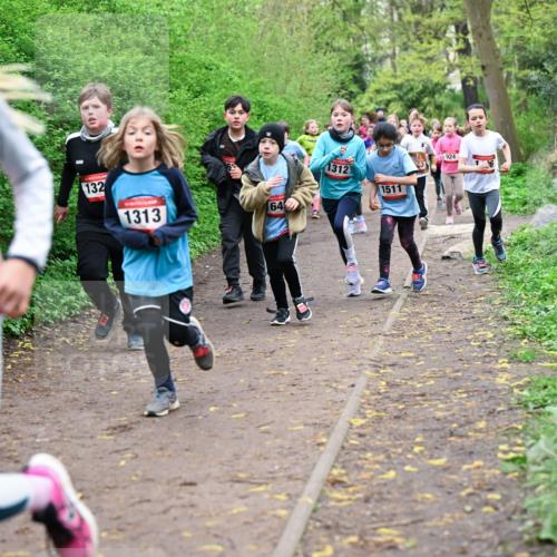 19.04.2026 - Hammer Lauf Dr. Thomas Lammeyer http://msf.ph/oto/9527936 19.04.2026 09:26:48 Laufen 1005, 132, 1313, 1312, 1511, 924 meine-sportfotos.de