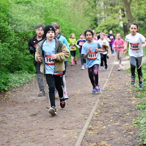 19.04.2026 - Hammer Lauf Dr. Thomas Lammeyer http://msf.ph/oto/9527953 19.04.2026 09:26:49 Laufen 164, 1511, 1406 meine-sportfotos.de
