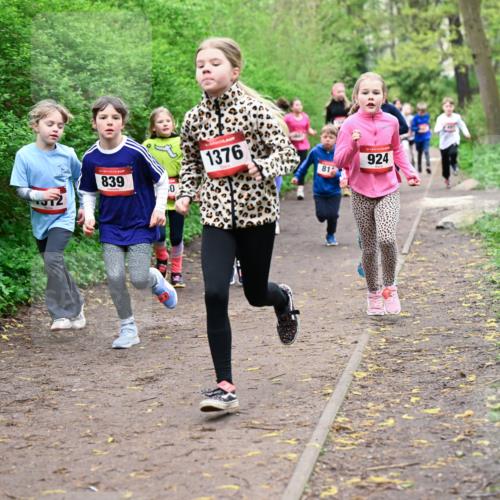 19.04.2026 - Hammer Lauf Dr. Thomas Lammeyer http://msf.ph/oto/9527984 19.04.2026 09:26:53 Laufen 839, 1376, 812, 924 meine-sportfotos.de