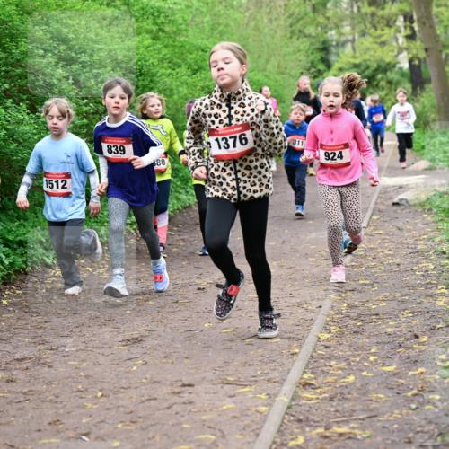 19.04.2026 - Hammer Lauf Dr. Thomas Lammeyer http://msf.ph/oto/9527986 19.04.2026 09:26:53 Laufen 489, 1512, 839, 1376, 924 meine-sportfotos.de