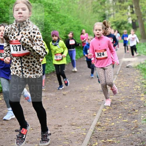 19.04.2026 - Hammer Lauf Dr. Thomas Lammeyer http://msf.ph/oto/9527991 19.04.2026 09:26:54 Laufen 512, 1376, 873, 924 meine-sportfotos.de