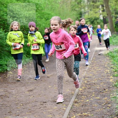 19.04.2026 - Hammer Lauf Dr. Thomas Lammeyer http://msf.ph/oto/9527996 19.04.2026 09:26:54 Laufen 873, 924 meine-sportfotos.de