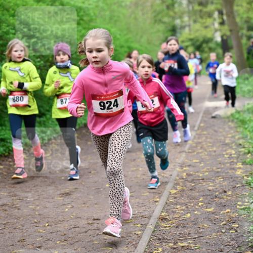 19.04.2026 - Hammer Lauf Dr. Thomas Lammeyer http://msf.ph/oto/9527999 19.04.2026 09:26:55 Laufen 880, 872, 924 meine-sportfotos.de