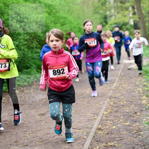 19.04.2026 - Hammer Lauf Dr. Thomas Lammeyer http://msf.ph/oto/9528007 19.04.2026 09:26:56 Laufen 873, 892, 577 meine-sportfotos.de
