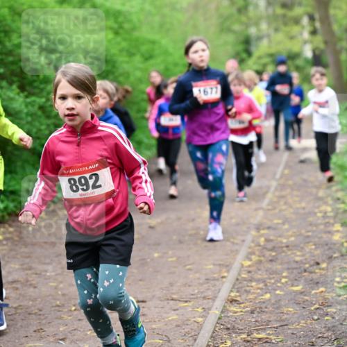 19.04.2026 - Hammer Lauf Dr. Thomas Lammeyer http://msf.ph/oto/9528009 19.04.2026 09:26:56 Laufen 873, 892, 1677 meine-sportfotos.de