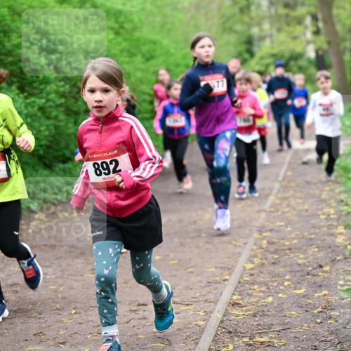 19.04.2026 - Hammer Lauf Dr. Thomas Lammeyer http://msf.ph/oto/9528012 19.04.2026 09:26:56 Laufen 873, 892 meine-sportfotos.de