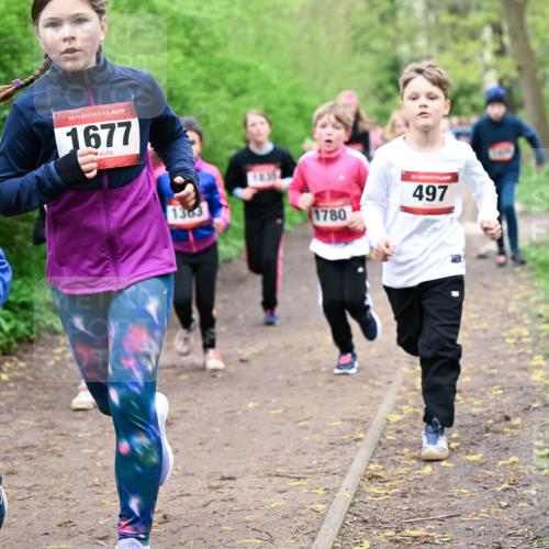 19.04.2026 - Hammer Lauf Dr. Thomas Lammeyer http://msf.ph/oto/9528023 19.04.2026 09:26:57 Laufen 311, 1677, 1303, 1435, 1780, 497 meine-sportfotos.de