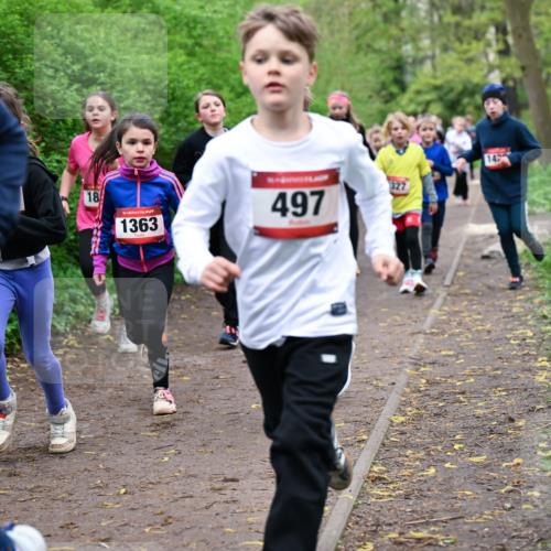 19.04.2026 - Hammer Lauf Dr. Thomas Lammeyer http://msf.ph/oto/9528029 19.04.2026 09:26:58 Laufen 1363, 497, 142 meine-sportfotos.de