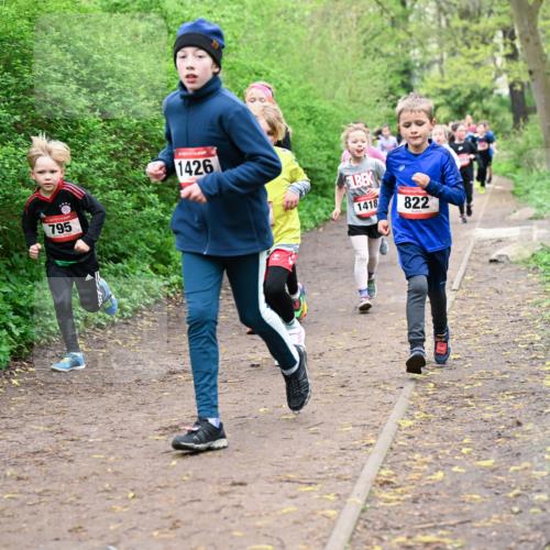 19.04.2026 - Hammer Lauf Dr. Thomas Lammeyer http://msf.ph/oto/9528050 19.04.2026 09:27:00 Laufen 795, 1426, 1418, 822 meine-sportfotos.de