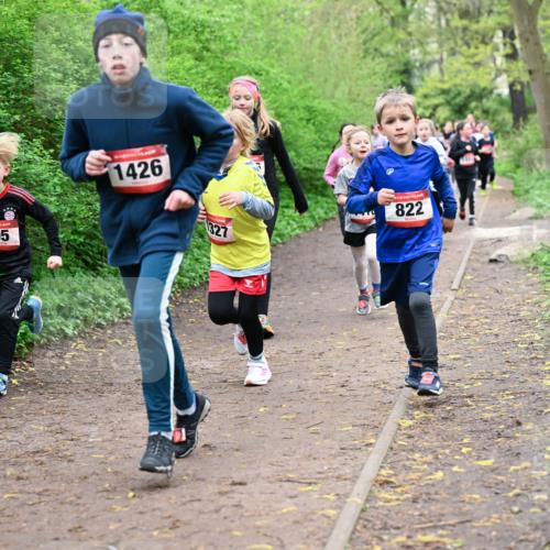 19.04.2026 - Hammer Lauf Dr. Thomas Lammeyer http://msf.ph/oto/9528053 19.04.2026 09:27:00 Laufen 795, 1426, 327, 822 meine-sportfotos.de