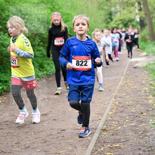 19.04.2026 - Hammer Lauf Dr. Thomas Lammeyer http://msf.ph/oto/9528060 19.04.2026 09:27:01 Laufen 327, 1546, 822 meine-sportfotos.de