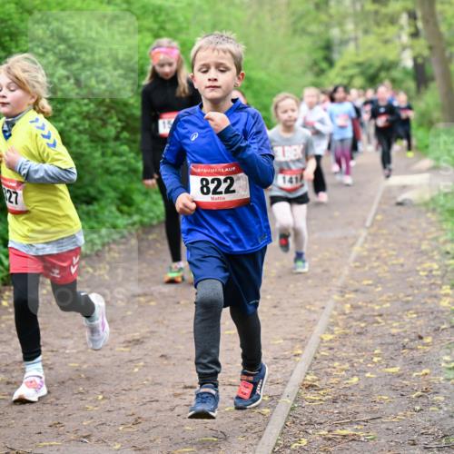 19.04.2026 - Hammer Lauf Dr. Thomas Lammeyer http://msf.ph/oto/9528061 19.04.2026 09:27:01 Laufen 822, 141 meine-sportfotos.de