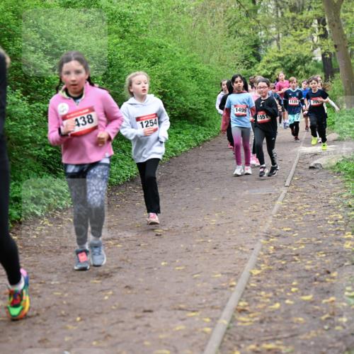 19.04.2026 - Hammer Lauf Dr. Thomas Lammeyer http://msf.ph/oto/9528083 19.04.2026 09:27:04 Laufen 1546, 438, 1254, 1499, 1551, 1135, 700 meine-sportfotos.de