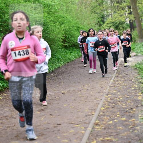 19.04.2026 - Hammer Lauf Dr. Thomas Lammeyer http://msf.ph/oto/9528090 19.04.2026 09:27:05 Laufen 1438, 149, 1551, 1753, 700 meine-sportfotos.de