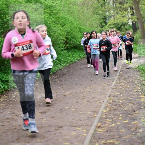 19.04.2026 - Hammer Lauf Dr. Thomas Lammeyer http://msf.ph/oto/9528093 19.04.2026 09:27:05 Laufen 438, 254, 1499, 753, 700, 155 meine-sportfotos.de