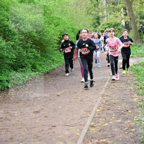 19.04.2026 - Hammer Lauf Dr. Thomas Lammeyer http://msf.ph/oto/9528104 19.04.2026 09:27:06 Laufen 254, 1813, 1551, 1753, 700 meine-sportfotos.de