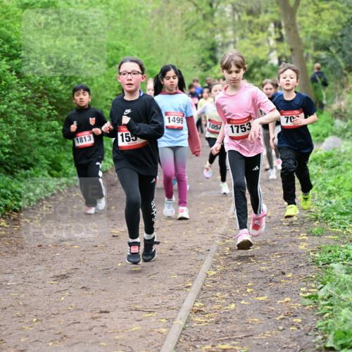 19.04.2026 - Hammer Lauf Dr. Thomas Lammeyer http://msf.ph/oto/9528118 19.04.2026 09:27:07 Laufen 1813, 155, 1499, 1054, 1753 meine-sportfotos.de