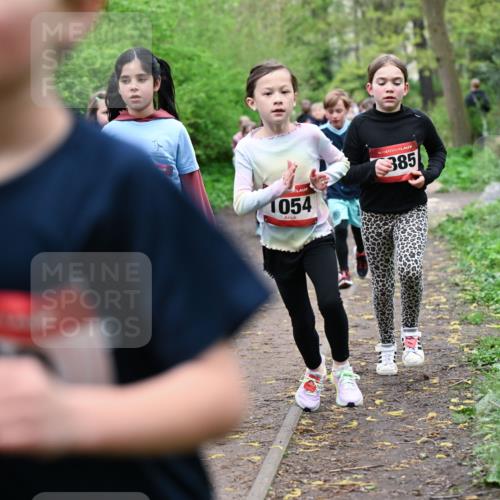 19.04.2026 - Hammer Lauf Dr. Thomas Lammeyer http://msf.ph/oto/9528132 19.04.2026 09:27:10 Laufen 1054, 385 meine-sportfotos.de