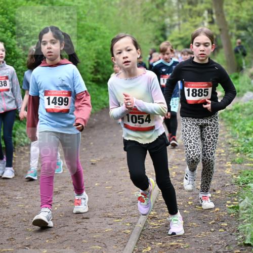 19.04.2026 - Hammer Lauf Dr. Thomas Lammeyer http://msf.ph/oto/9528135 19.04.2026 09:27:10 Laufen 1138, 1499, 1054, 1885 meine-sportfotos.de