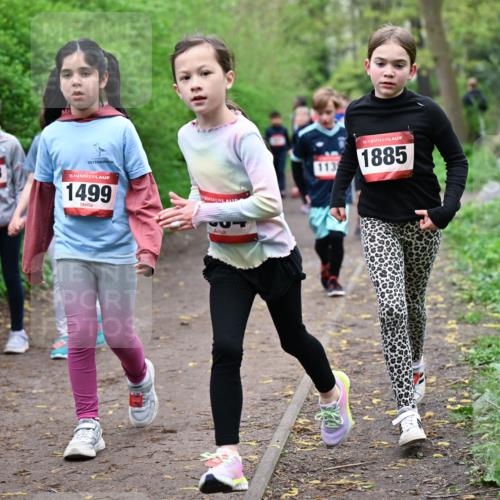 19.04.2026 - Hammer Lauf Dr. Thomas Lammeyer http://msf.ph/oto/9528138 19.04.2026 09:27:10 Laufen 1138, 1499, 113, 1885 meine-sportfotos.de