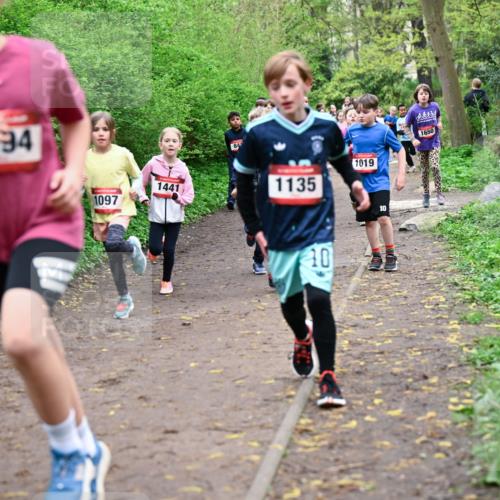 19.04.2026 - Hammer Lauf Dr. Thomas Lammeyer http://msf.ph/oto/9528158 19.04.2026 09:27:12 Laufen 1097, 1441, 1135, 1650, 1019 meine-sportfotos.de