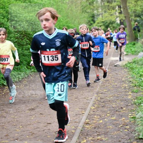 19.04.2026 - Hammer Lauf Dr. Thomas Lammeyer http://msf.ph/oto/9528161 19.04.2026 09:27:13 Laufen 1097, 1892, 1656, 139, 7019, 1135 meine-sportfotos.de