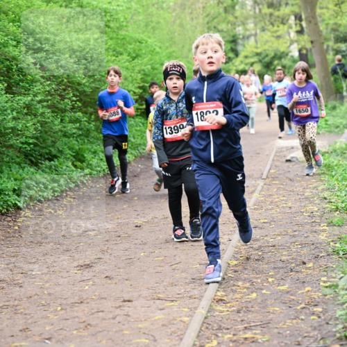 19.04.2026 - Hammer Lauf Dr. Thomas Lammeyer http://msf.ph/oto/9528174 19.04.2026 09:27:14 Laufen 088, 1399, 180, 1650 meine-sportfotos.de